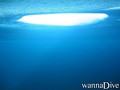 scuba diving photo
