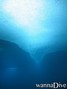 scuba diving photo