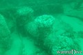scuba diving photo