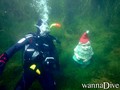 scuba diving photo