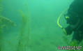 scuba diving photo