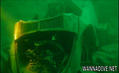 scuba diving photo