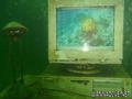 scuba diving photo
