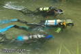 scuba diving photo