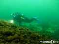 scuba diving photo