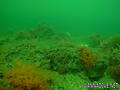 scuba diving photo