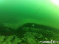 scuba diving photo