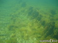 scuba diving photo