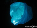 scuba diving photo