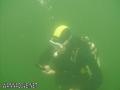 scuba diving photo
