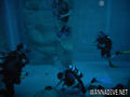 scuba diving photo