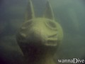scuba diving photo