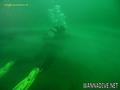 scuba diving photo