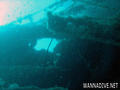scuba diving photo