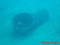 scuba diving photo