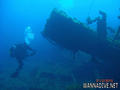 scuba diving photo
