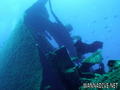 scuba diving photo