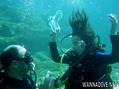 scuba diving photo
