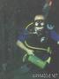 scuba diving photo
