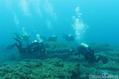 scuba diving photo