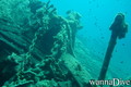 scuba diving photo