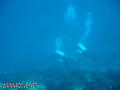 scuba diving photo