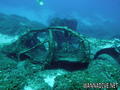 scuba diving photo