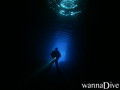 scuba diving photo
