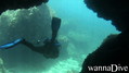 scuba diving photo