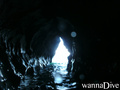scuba diving photo