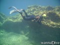 scuba diving photo