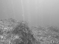 scuba diving photo