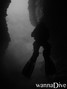 scuba diving photo