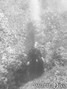 scuba diving photo
