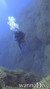 scuba diving photo