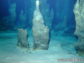 scuba diving photo