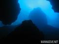 scuba diving photo