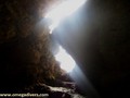scuba diving photo
