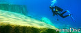 scuba diving photo