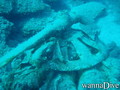 scuba diving photo