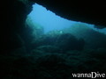 scuba diving photo