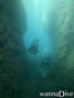 scuba diving photo
