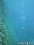 scuba diving photo