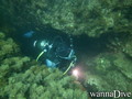 scuba diving photo