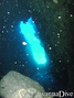 scuba diving photo