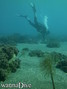 scuba diving photo