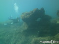 scuba diving photo