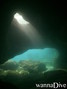 scuba diving photo
