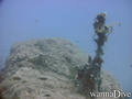 scuba diving photo
