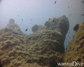 scuba diving photo